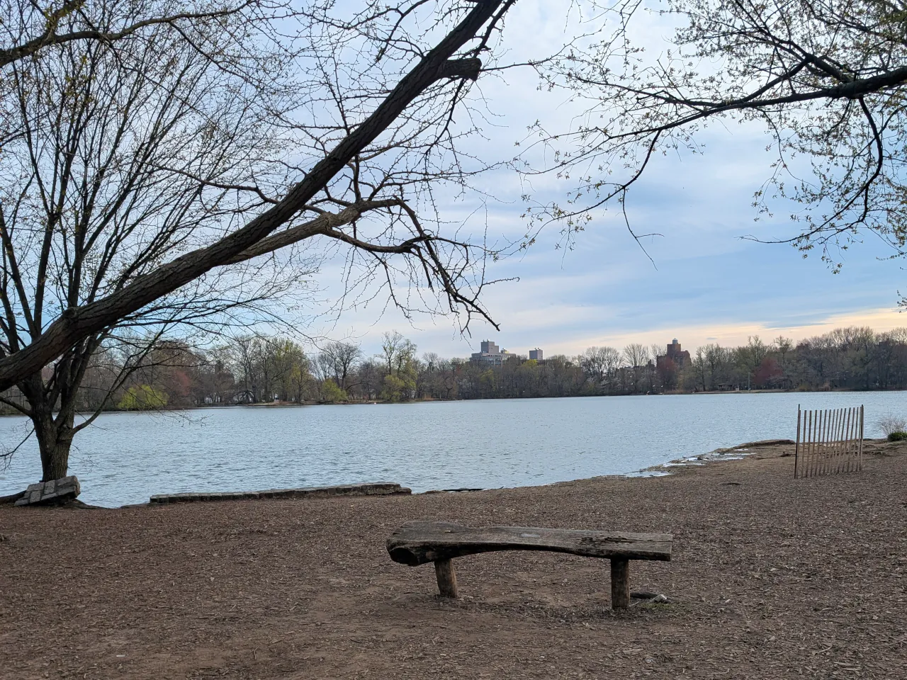 Bench along a lake