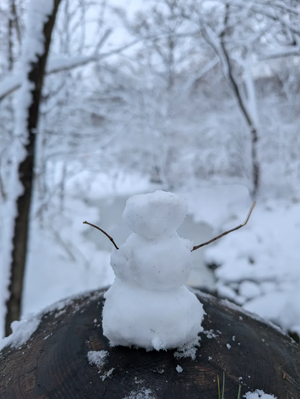 Tiny snowman peering at a lake